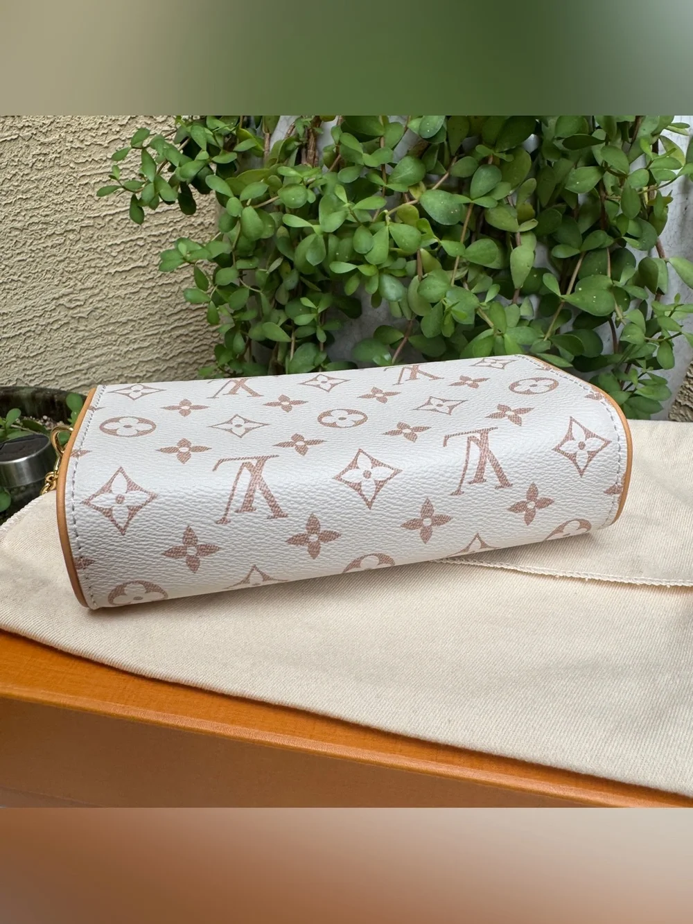 Louis Vuitton Monogram Dune Camille Pochette